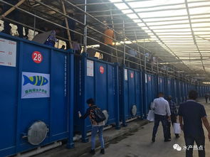 集裝箱養(yǎng)殖要火了嗎 各地的水產站都來觀摩,還成立了聯盟,或將又是一個新風口