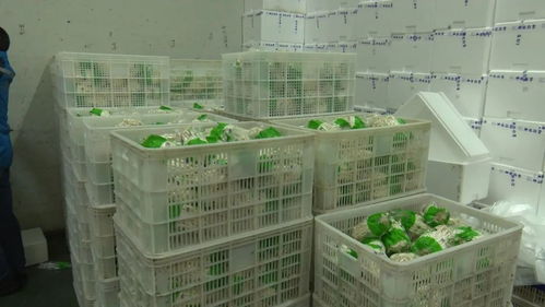 省直機關支援隊為我縣企業(yè) 牽線搭橋 擴寬產品購銷渠道